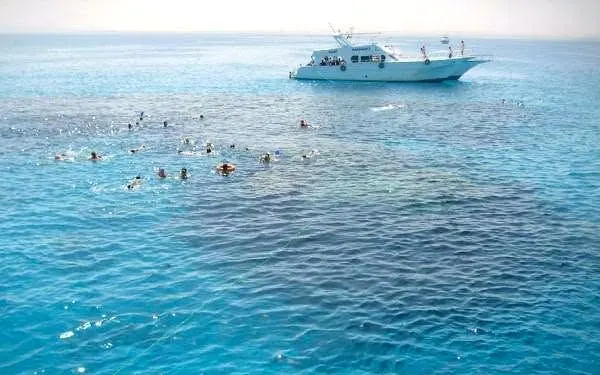 Snorkeler above a colourful coral reef in the Red Sea