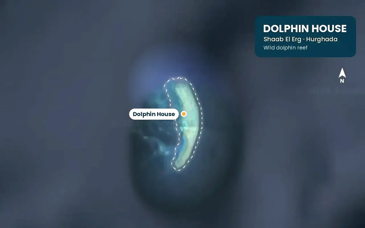 Satellite map of Dolphin House (Shaab El Erg) reef north of Hurghada