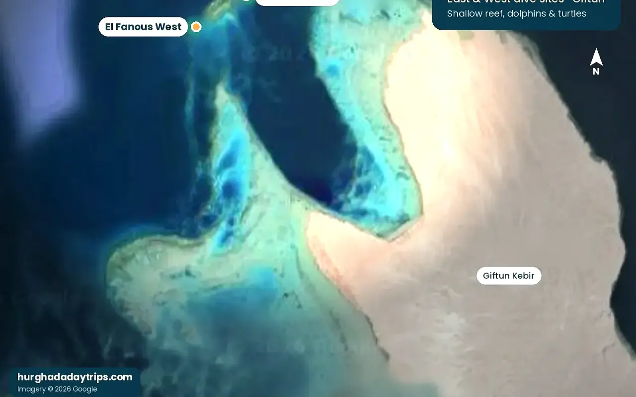 Satellite map of El Fanous East and El Fanous West dive sites at the northern tip of Giftun Kebir
