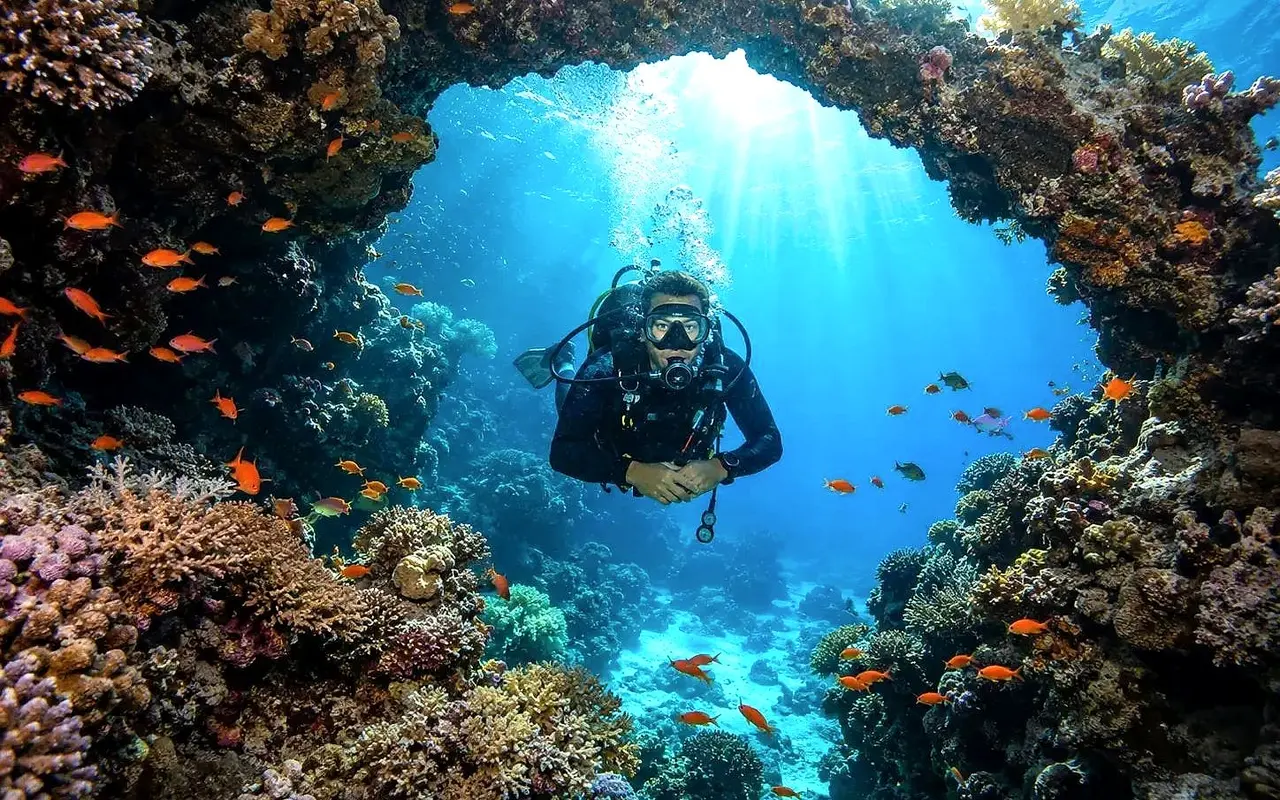 Scuba diver swimming through a coral arch in the Red Sea